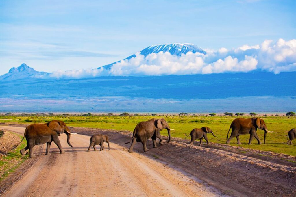 Nairobi National Park + Amboseli combo 2026